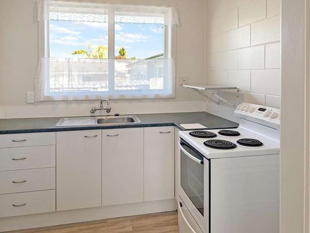 2/234 Williams Street 11385_2