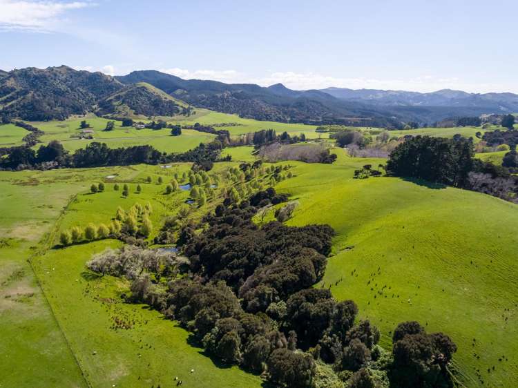 2122 Masterton Castlepoint Road Masterton_23