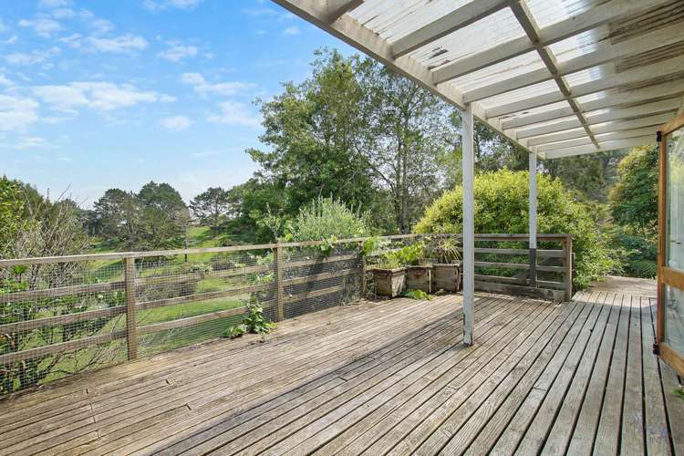 50 Potter Road Dairy Flat_13