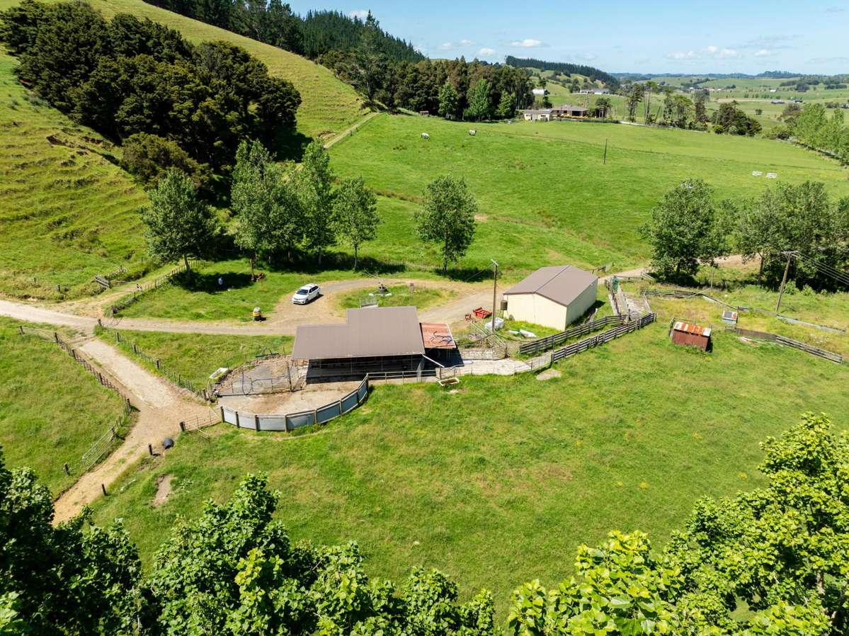 1325 Paparoa-Oakleigh Road_2