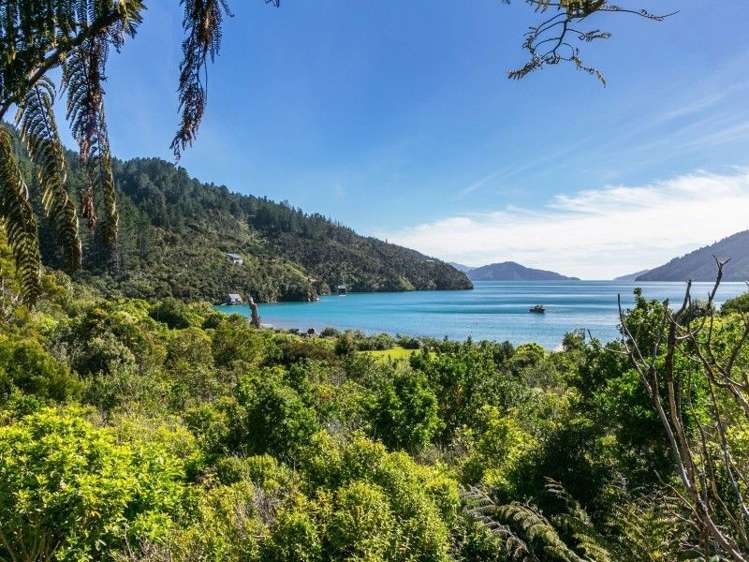 Maraetai Bay Marlborough_12