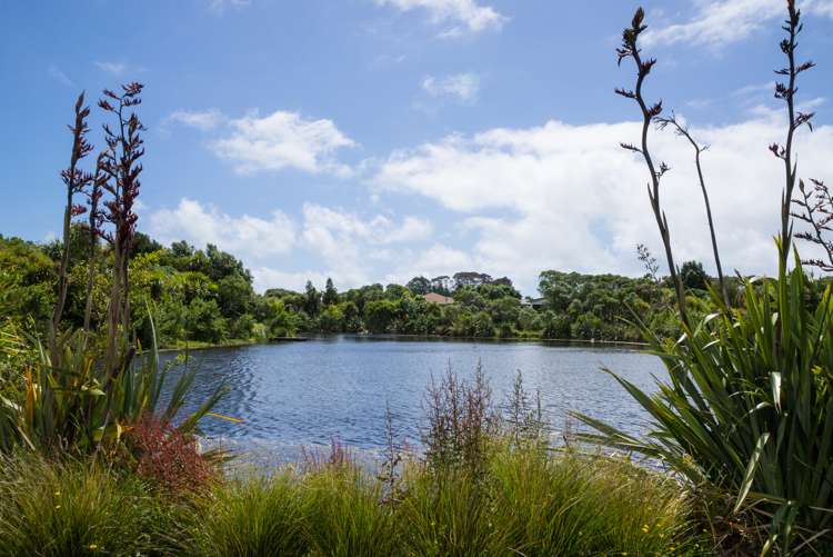 11 Soldiers Way Paraparaumu_9