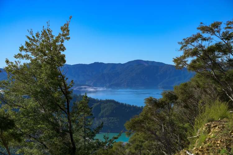 2464 Port Underwood Road Port Underwood_11