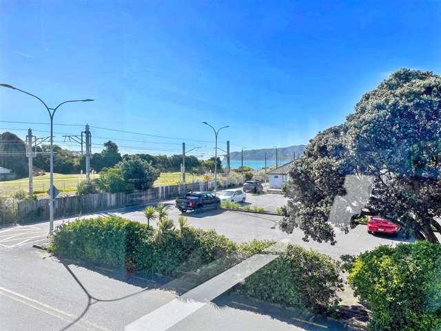 93-97 Mana Esplanade Paremata_2