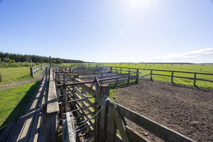 526 Lake Road Himatangi_15