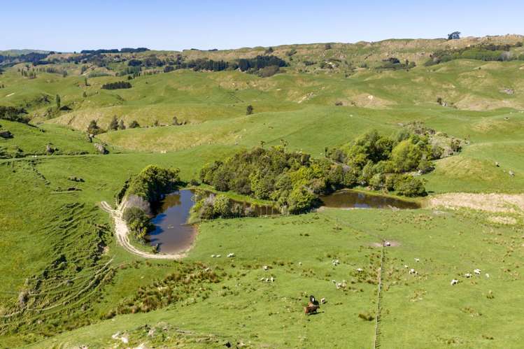 1262 - 1520 Maraetotara Road Waimarama_11