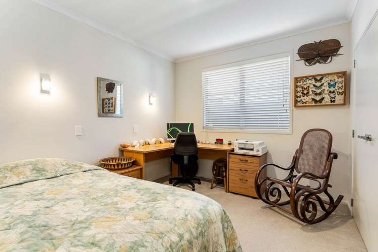 111b Seventeenth Avenue Tauranga South_13