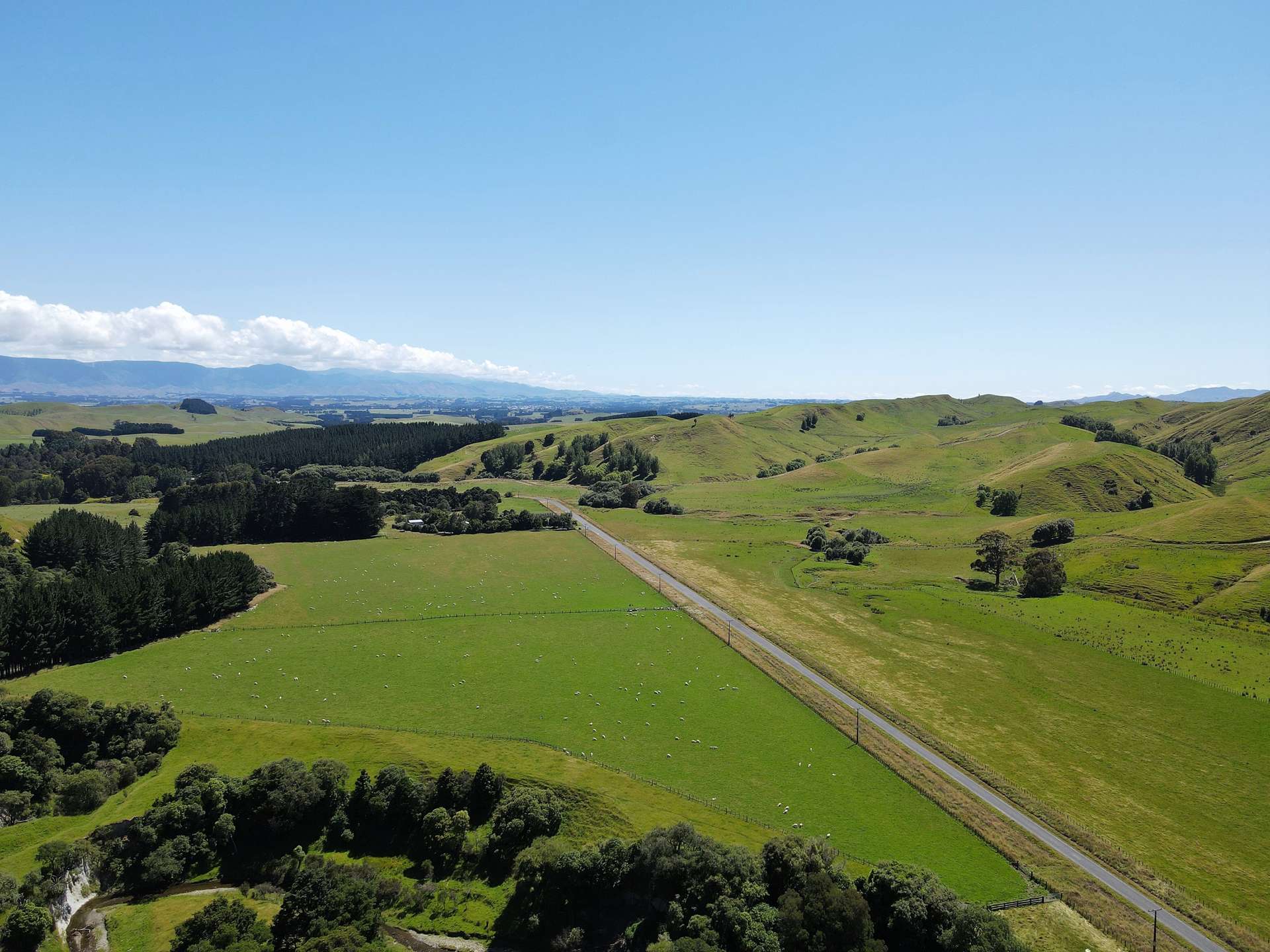 918 Otope Road Dannevirke_0