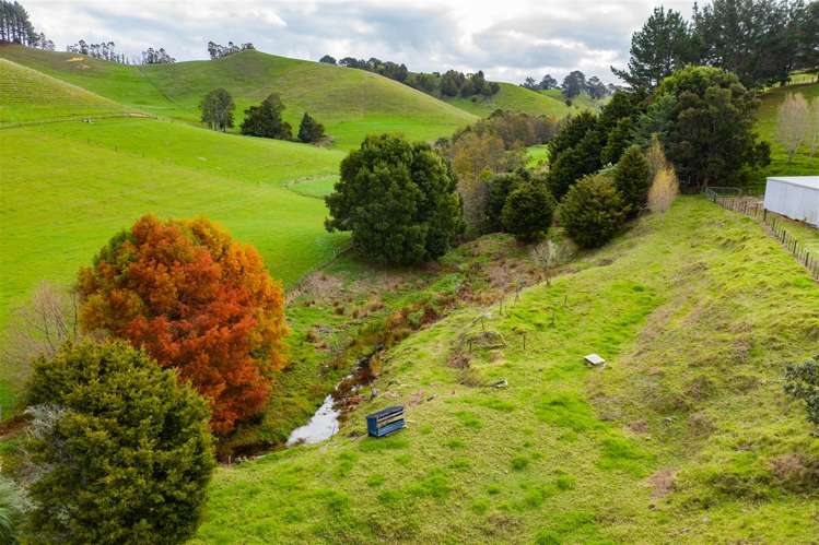 79 Adams Road Whareora_32