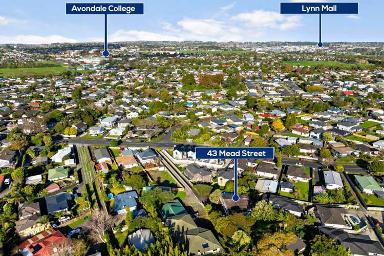 43 Mead Street Avondale_18