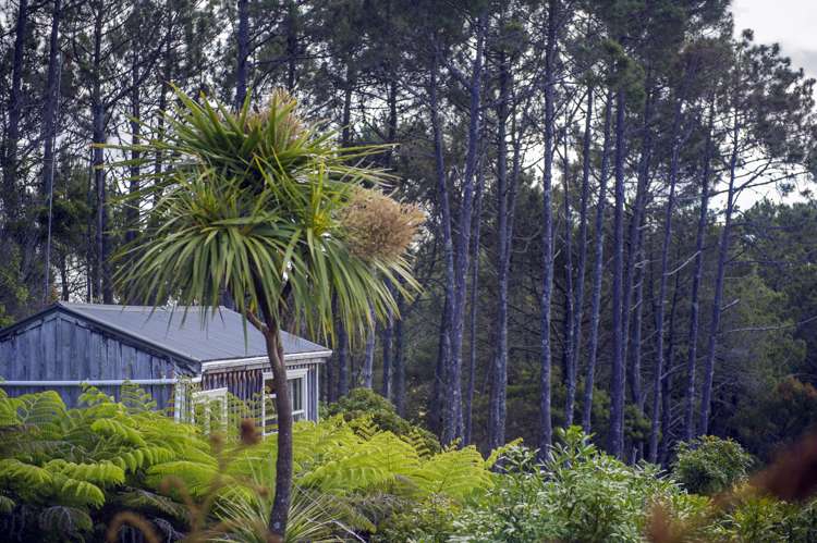 168 Orchard Road Hahei_13