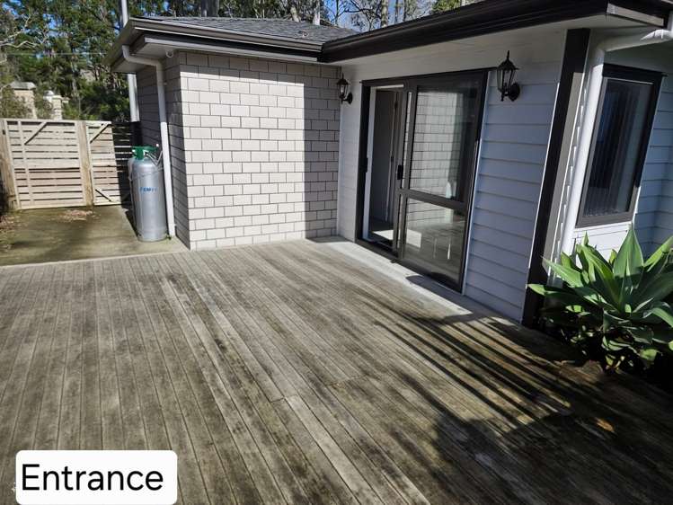 3 David Rogers Lane Swanson_1