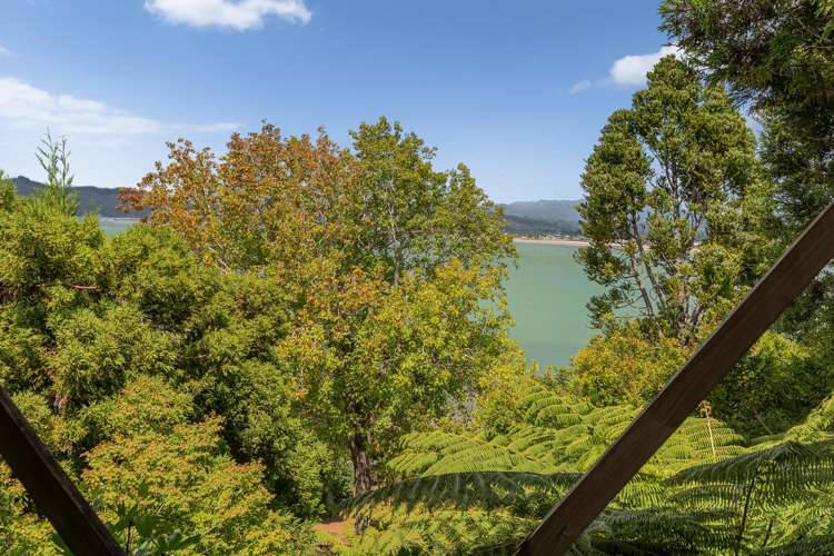 219 Buffalo Beach Road Whitianga_40