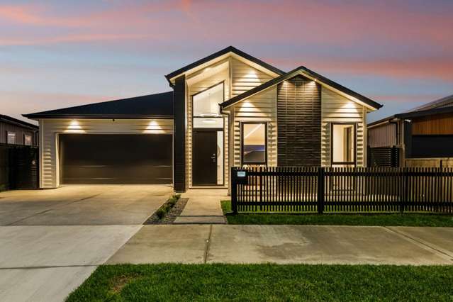 New Home with Stunning Park Views!