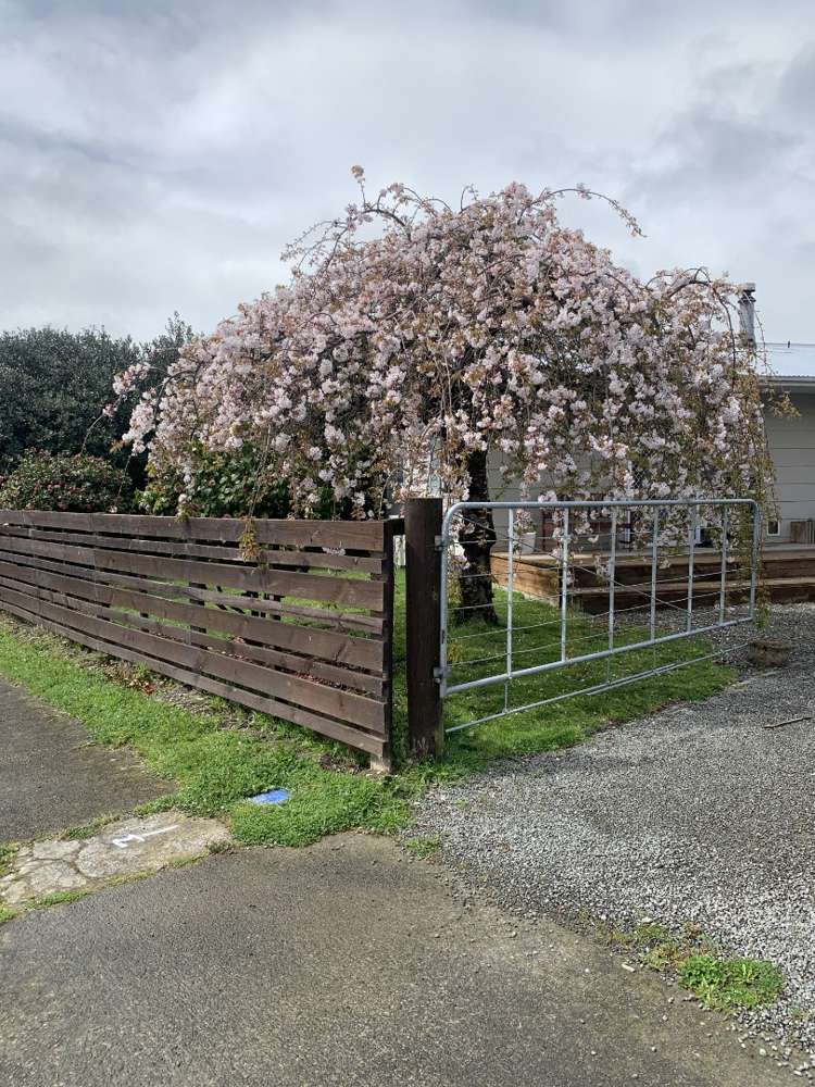 3 Philip Street Solway_1