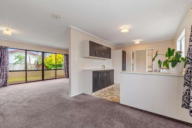 3 Nikau Street Levin_4