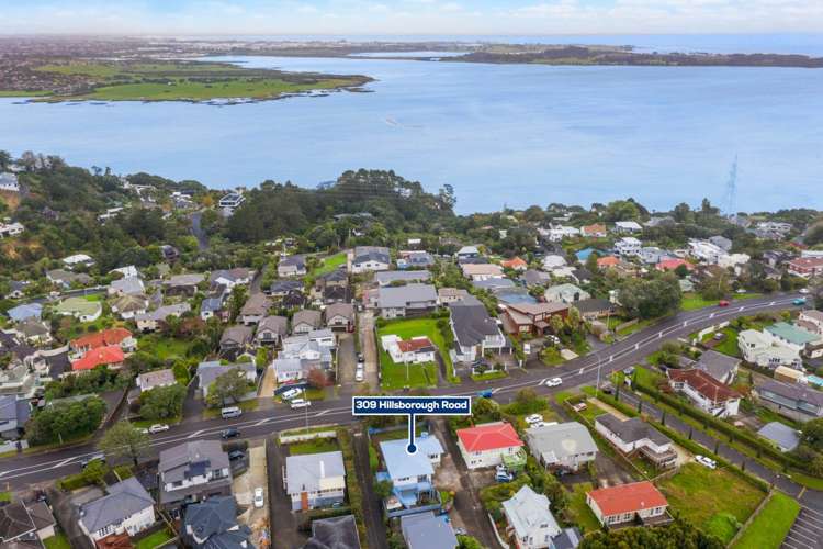 309 Hillsborough Road Hillsborough_19