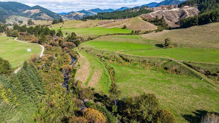 1642 Motueka River West Bank Road_5