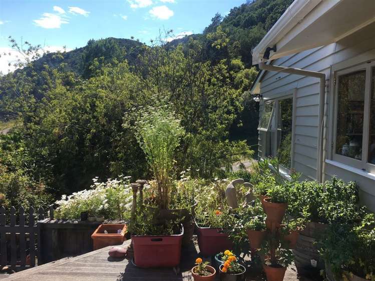 81 Kent Street Picton_7