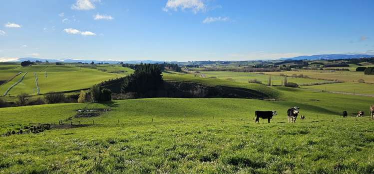 187 Waikaka Valley Highway Willowbank_6