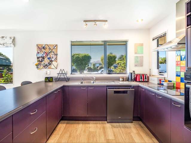 9 Millichamp Street Tinwald_3