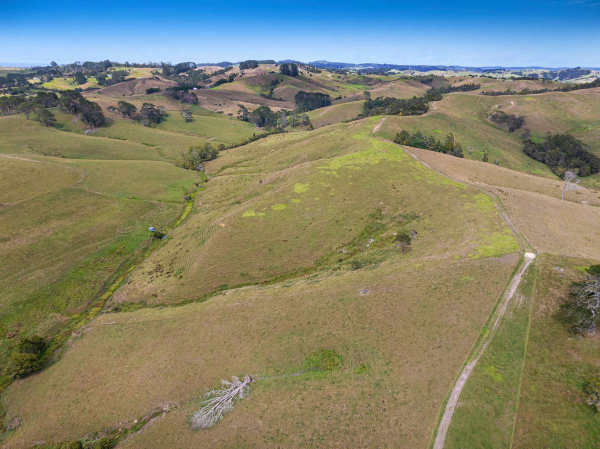 660 Kaipara Coast Highway_5