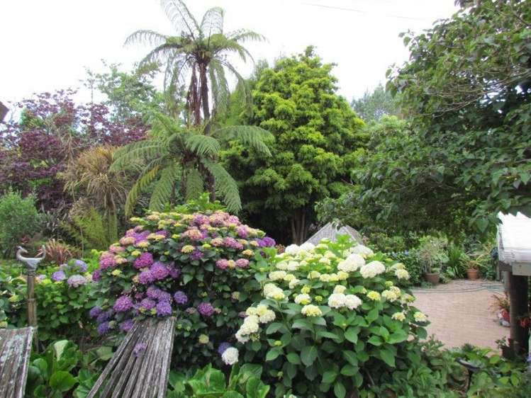 10a Hobson Street Waihi_13