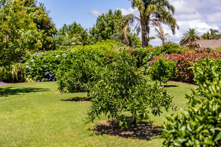 18 Blue Marlin Drive Kerikeri_45