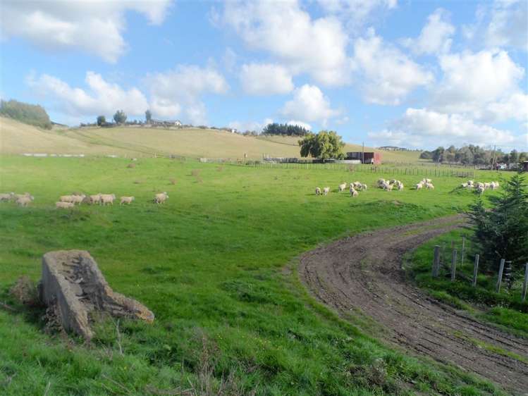 71 Wapiti Avenue Feilding_1