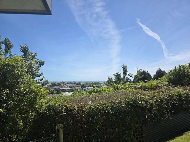 205 Brittan Street Hokitika_4