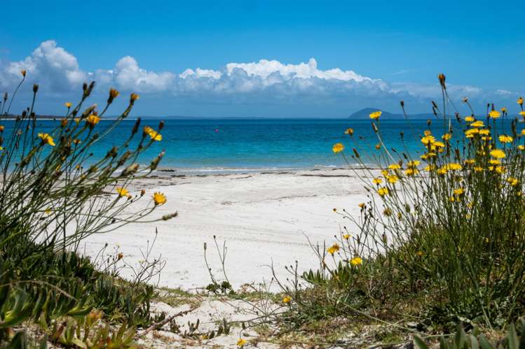 6 Gillies Road Karikari Peninsula_27