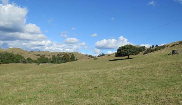 1494 State Highway 4 Aria_2