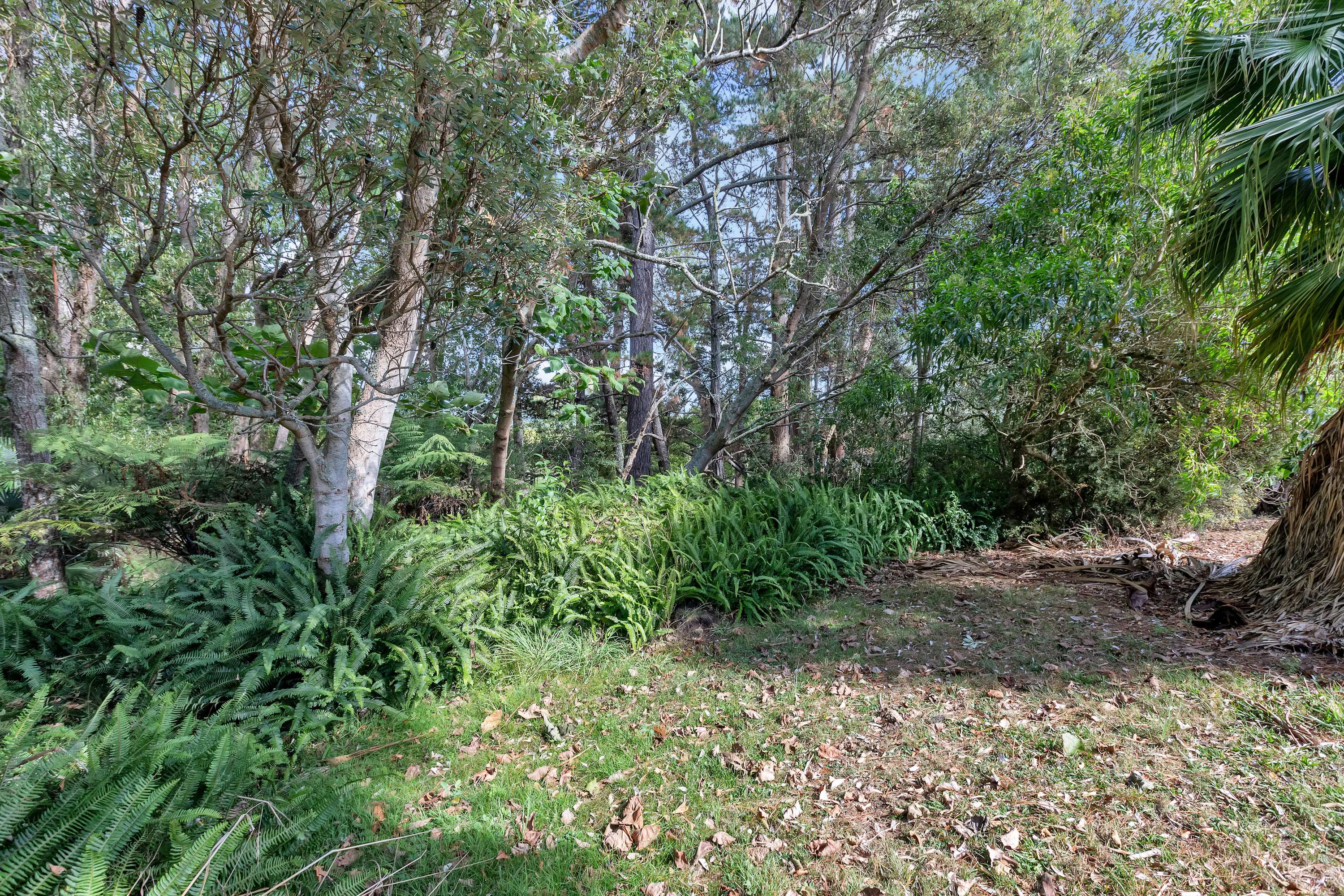 95 McLennan Road Whakapara Whangārei Houses for Sale One Roof