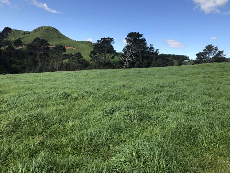 428 Whatauri Road Wharepapa South_13