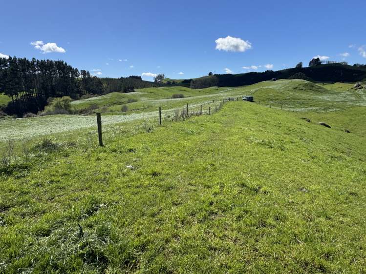 258 Wharepapa South Road Te Awamutu_11