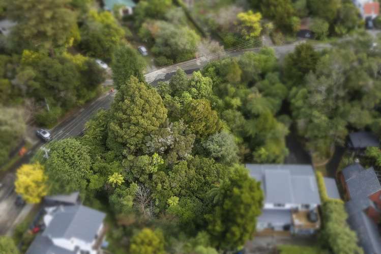 81 Wyndham Road Pinehaven_5