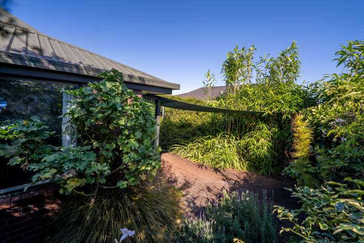 7 Pepper Tree Way The Wood_6