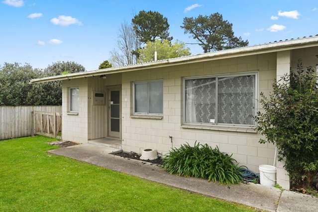 91B Rimu Street 2752_1