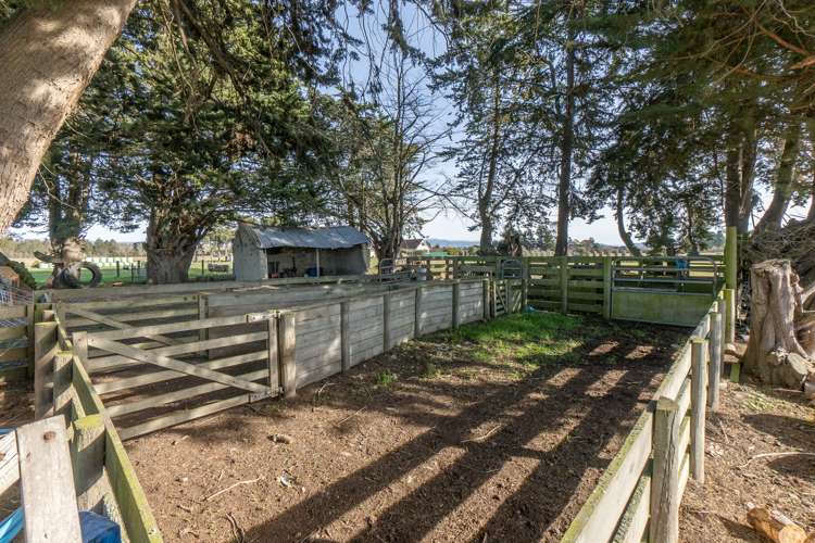 97 Pareora River Road Saint Andrews_22