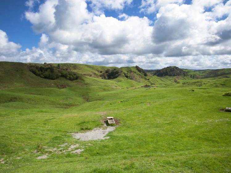 450 Ngapaenga Road Pomarangai_12