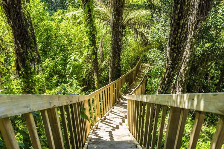 36 Goodall Street Hillsborough_19