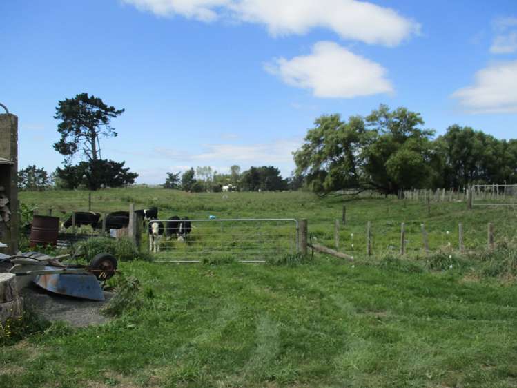 237 Kellow Road Rongotea_25