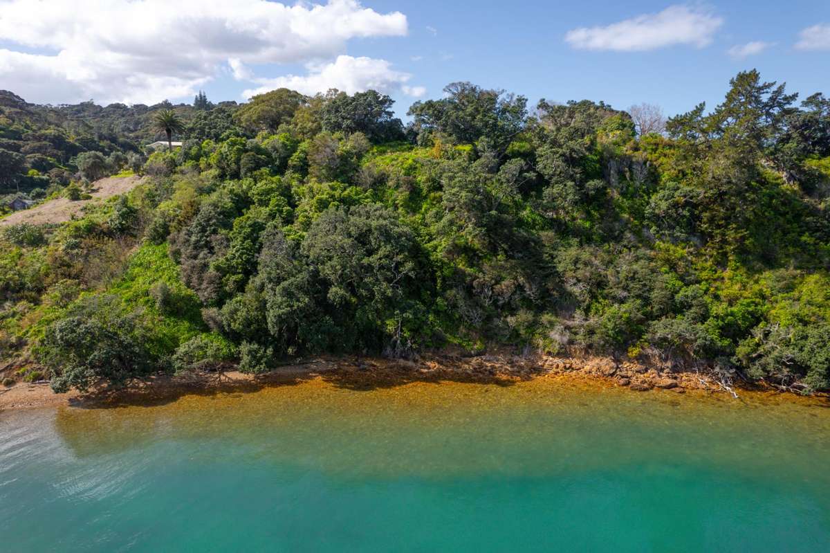 12 Pohutukawa Avenue_2