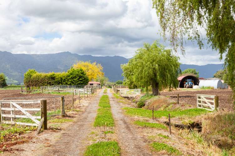 361 Waghorn Road Manawaru_15