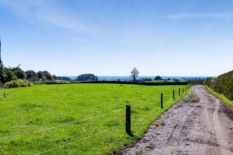 539 Kent Road Korito_33