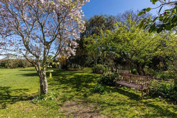 150 Selmes Road Rapaura_12