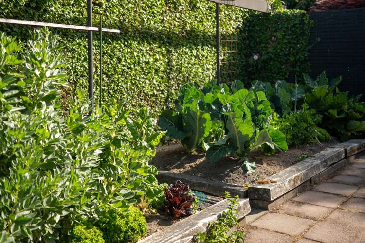 166 Ilam Road Ilam_25