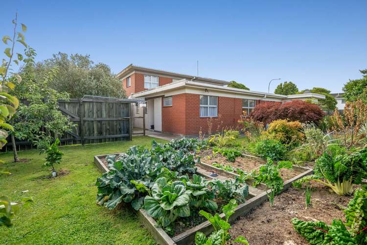 18a Grey Street Glenholme_12