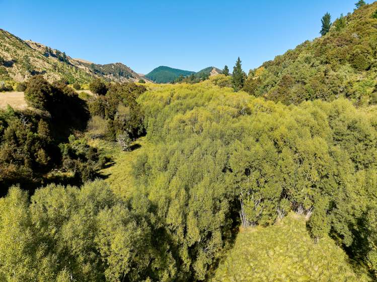 11 Mt Lyford Forest Drive Kaikoura_14