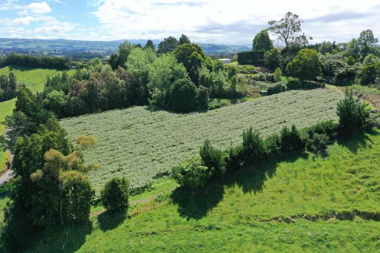 221 Pukemapu Road Oropi_21